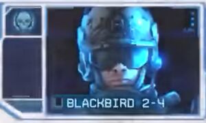 Blackbird 2-4.jpg
