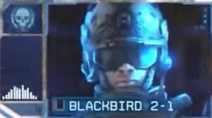 Blackbird2-1.jpg