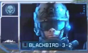 Blackbird 3-2.jpg