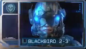 Blackbird 2-3.jpg