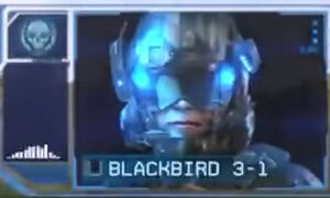 Blackbird 3-1.jpg